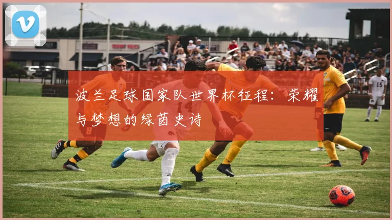 波兰足球国家队世界杯征程：荣耀与梦想的绿茵史诗
