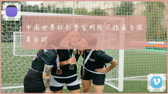 中国世界杯彩票官网购买指南与深度分析
