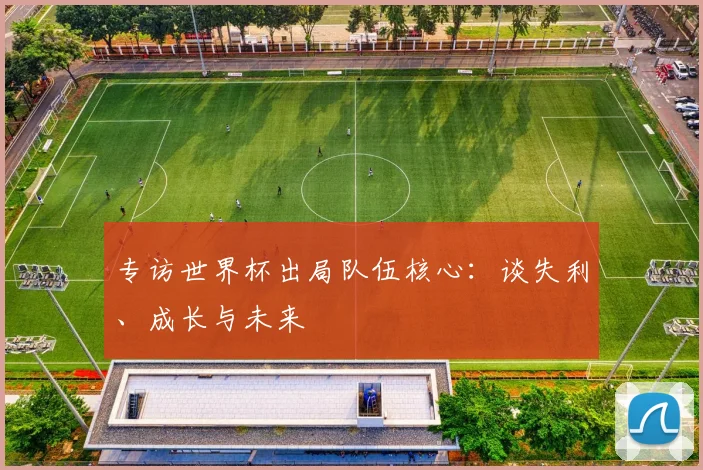 专访世界杯出局队伍核心：谈失利、成长与未来