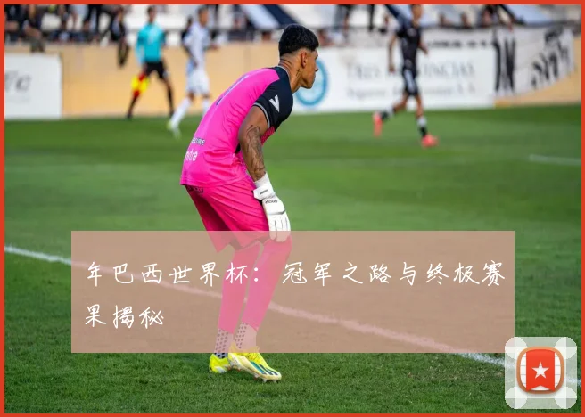 年巴西世界杯：冠军之路与终极赛果揭秘