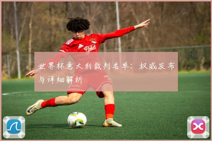 世界杯意大利裁判名单：权威发布与详细解析