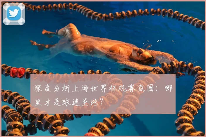 深度分析上海世界杯观赛氛围:哪里才是球迷圣地?