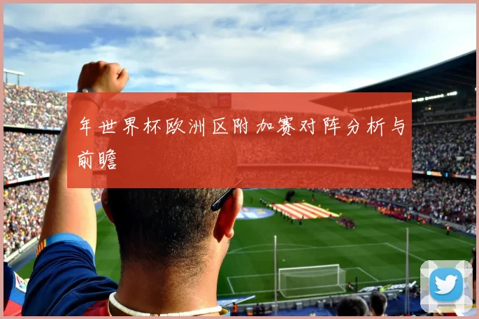 年世界杯欧洲区附加赛对阵分析与前瞻