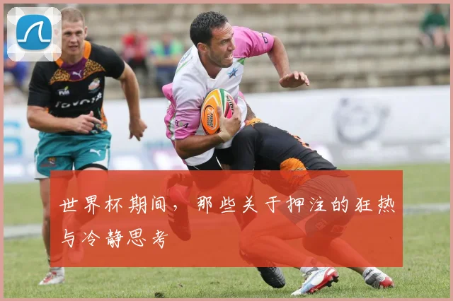世界杯期间，那些关于押注的狂热与冷静思考